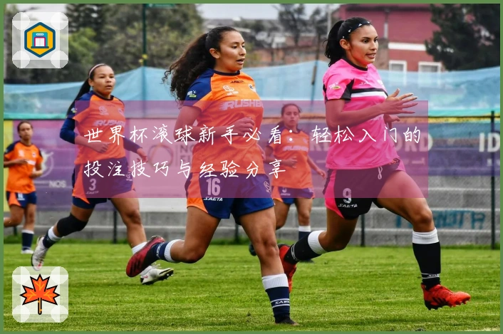 世界杯滚球新手必看：轻松入门的投注技巧与经验分享