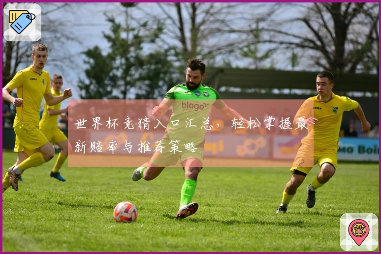 世界杯竞猜入口汇总，轻松掌握最新赔率与推荐策略