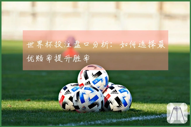 世界杯投注盘口分析：如何选择最优赔率提升胜率