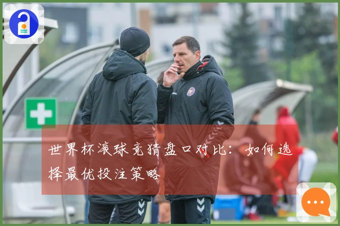 世界杯滚球竞猜盘口对比：如何选择最优投注策略