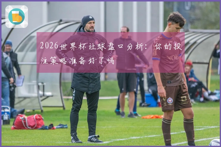 2026世界杯让球盘口分析：你的投注策略准备好了吗
