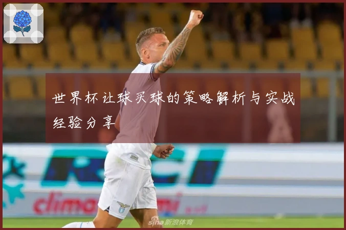 世界杯让球买球的策略解析与实战经验分享