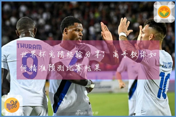 世界杯竞猜经验分享：高手教你如何精准预测比赛结果