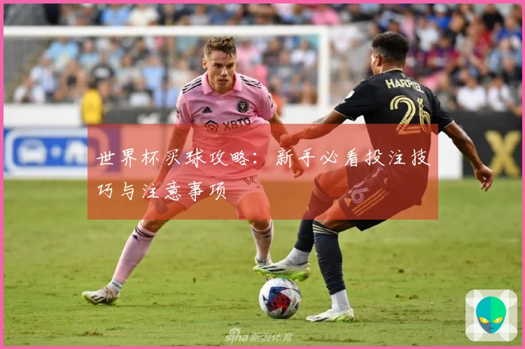 世界杯买球攻略：新手必看投注技巧与注意事项