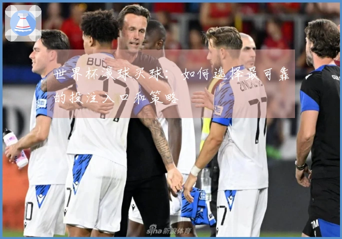 世界杯滚球买球：如何选择最可靠的投注入口和策略