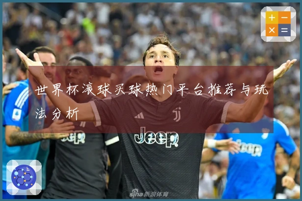 世界杯滚球买球热门平台推荐与玩法分析