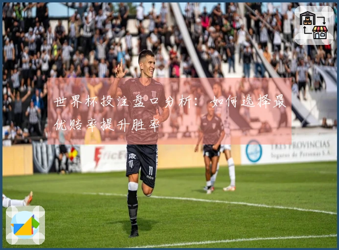 世界杯投注盘口分析：如何选择最优赔率提升胜率
