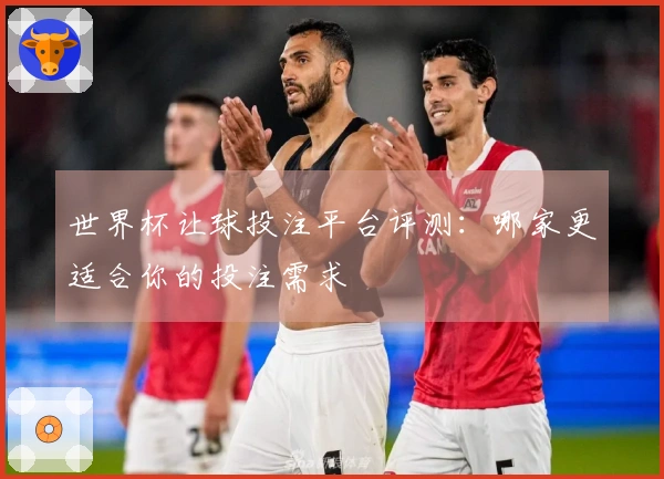 世界杯让球投注平台评测：哪家更适合你的投注需求
